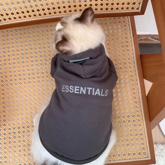 FOG Essentials hoodie cat god cloth - Picture 1 of 10